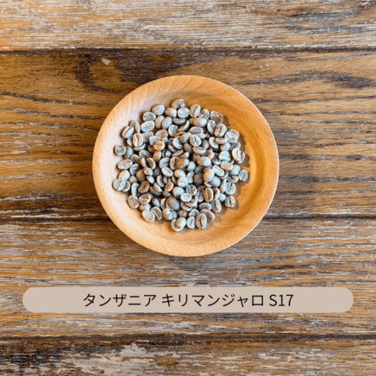 タンザニア キリマンジャロ AA S17 生豆 100g・500g・1kg（選択）